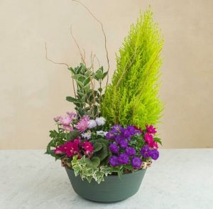 exemple compositon florale eternelle pensée