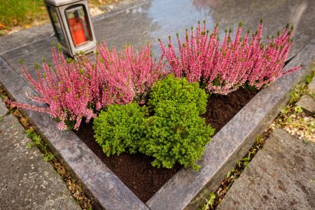Entretien de tombe en alsace